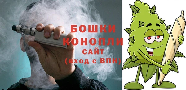 гидра Арсеньев