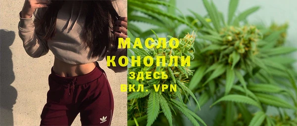 гидра Арсеньев