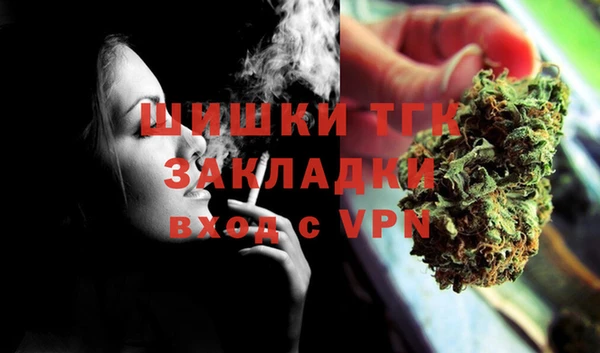 гидра Арсеньев