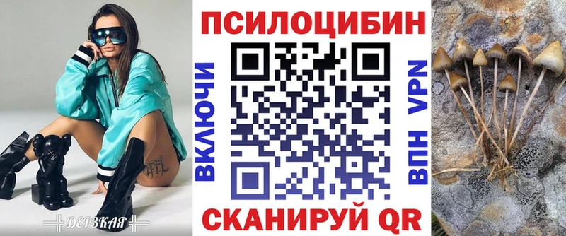 купить наркоту  Бабушкин  Псилоцибиновые грибы Psilocybine cubensis 